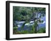 Hilo, Big Island, Hawaii-Jerry Ginsberg-Framed Photographic Print