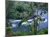 Hilo, Big Island, Hawaii-Jerry Ginsberg-Mounted Photographic Print