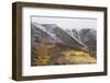 Hilton Creek Hillside and Fall Color at the First Snow-Michael Qualls-Framed Photographic Print