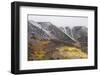 Hilton Creek Hillside and Fall Color at the First Snow-Michael Qualls-Framed Photographic Print