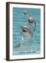 Hilton Head Island, South Carolina - Dolphins-Lantern Press-Framed Art Print