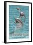 Hilton Head Island, South Carolina - Dolphins-Lantern Press-Framed Art Print