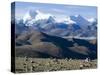 Himalaya Range, Tibet, China-Ethel Davies-Stretched Canvas