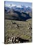 Himalaya Range, Tibet, China-Ethel Davies-Stretched Canvas