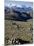 Himalaya Range, Tibet, China-Ethel Davies-Mounted Photographic Print