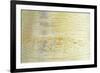 Himalayan Birch (Betula utilis) close-up of bark-Krystyna Szulecka-Framed Photographic Print