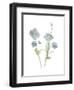 Himalayan Blue Poppy-Stacy Hsu-Framed Art Print