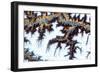 Himalayas II-Alicia Ludwig-Framed Art Print