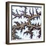 Himalayas III-Alicia Ludwig-Framed Art Print