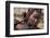 Himba girl-Piet Flour-Framed Photographic Print