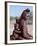 Himba Mother and Child Ride Home on Donkey, Bodies Gleaming from a Red Ochre Mixture, Namibia-Nigel Pavitt-Framed Photographic Print