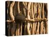Himba Tribe Hut, Skeleton Coast, Namibia-Michele Westmorland-Stretched Canvas