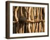 Himba Tribe Hut, Skeleton Coast, Namibia-Michele Westmorland-Framed Photographic Print