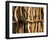 Himba Tribe Hut, Skeleton Coast, Namibia-Michele Westmorland-Framed Photographic Print