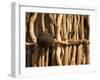 Himba Tribe Hut, Skeleton Coast, Namibia-Michele Westmorland-Framed Photographic Print