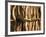 Himba Tribe Hut, Skeleton Coast, Namibia-Michele Westmorland-Framed Photographic Print