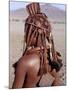 Himba Woman in Traditional Attire, Her Body Gleams from a Red Ochre Mixture of Red Ochre, Namibia-Nigel Pavitt-Mounted Photographic Print