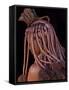 Himba Woman, Kaokoland, Namibia-Peter Adams-Framed Stretched Canvas