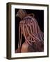 Himba Woman, Kaokoland, Namibia-Peter Adams-Framed Photographic Print