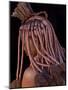 Himba Woman, Kaokoland, Namibia-Peter Adams-Mounted Photographic Print