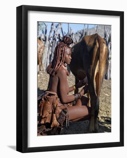 Himba Woman Milks a Cow in the Stock Enclosure Close to Her Home, Namibia-Nigel Pavitt-Framed Photographic Print