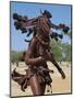 Himba Women Perform the Otjiunda Dance, Stamping, Clapping and Chanting-Nigel Pavitt-Mounted Photographic Print