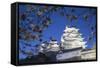 Himeji Castle, at Dusk, Himeji, Kansai, Honshu, Japan-Ian Trower-Framed Stretched Canvas