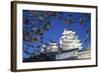 Himeji Castle, at Dusk, Himeji, Kansai, Honshu, Japan-Ian Trower-Framed Photographic Print