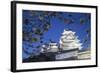Himeji Castle, at Dusk, Himeji, Kansai, Honshu, Japan-Ian Trower-Framed Photographic Print
