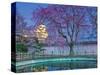 Himeji Castle Behind Blooming Cherry Trees at Twilight-Rudy Sulgan-Stretched Canvas