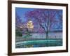 Himeji Castle Behind Blooming Cherry Trees at Twilight-Rudy Sulgan-Framed Photographic Print