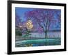 Himeji Castle Behind Blooming Cherry Trees at Twilight-Rudy Sulgan-Framed Photographic Print