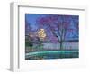 Himeji Castle Behind Blooming Cherry Trees at Twilight-Rudy Sulgan-Framed Photographic Print