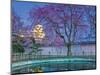 Himeji Castle Behind Blooming Cherry Trees at Twilight-Rudy Sulgan-Mounted Photographic Print