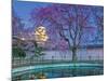 Himeji Castle Behind Blooming Cherry Trees at Twilight-Rudy Sulgan-Mounted Photographic Print