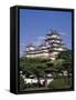 Himeji Castle Himeji Japan-null-Framed Stretched Canvas