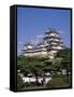 Himeji Castle Himeji Japan-null-Framed Stretched Canvas