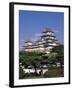 Himeji Castle Himeji Japan-null-Framed Premium Photographic Print