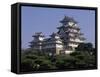 Himeji Castle, Himeji, Japan-null-Framed Stretched Canvas