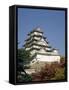 Himeji Castle, Himeji, Japan-null-Framed Stretched Canvas