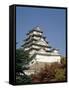 Himeji Castle, Himeji, Japan-null-Framed Stretched Canvas