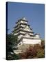 Himeji Castle, Himeji, Japan-null-Stretched Canvas