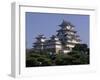 Himeji Castle, Himeji, Japan-null-Framed Photographic Print