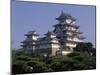 Himeji Castle, Himeji, Japan-null-Mounted Photographic Print