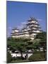 Himeji Castle Himeji Japan-null-Mounted Photographic Print