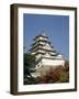 Himeji Castle, Himeji, Japan-null-Framed Photographic Print