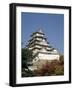 Himeji Castle, Himeji, Japan-null-Framed Photographic Print