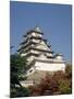 Himeji Castle, Himeji, Japan-null-Mounted Photographic Print