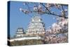 Himeji Castle, Himeji, Kansai, Honshu, Japan-Ian Trower-Stretched Canvas