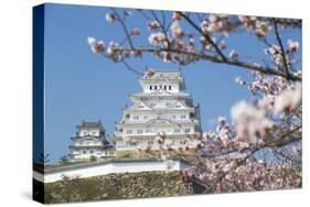 Himeji Castle, Himeji, Kansai, Honshu, Japan-Ian Trower-Stretched Canvas